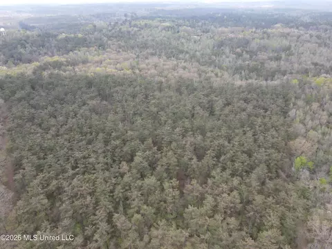 1356 Jeff Dodd Rd, West, MS 39192 photo 33