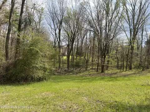 1356 Jeff Dodd Rd, West, MS 39192 photo 5
