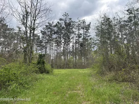 1356 Jeff Dodd Rd, West, MS 39192 photo 44