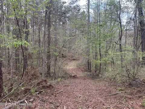 1356 Jeff Dodd Rd, West, MS 39192 photo 28
