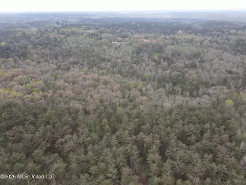 1356 Jeff Dodd Rd, West, MS 39192 photo 46