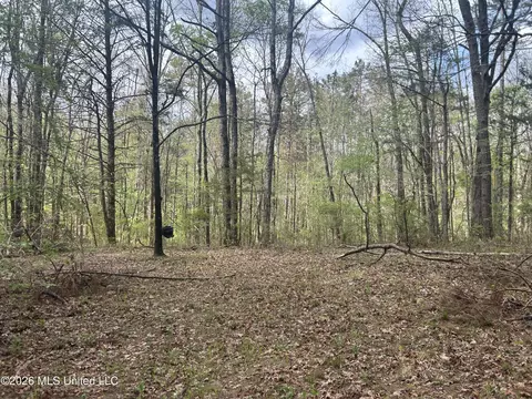 1356 Jeff Dodd Rd, West, MS 39192 photo 38
