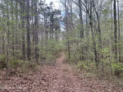 1356 Jeff Dodd Rd, West, MS 39192 photo 37