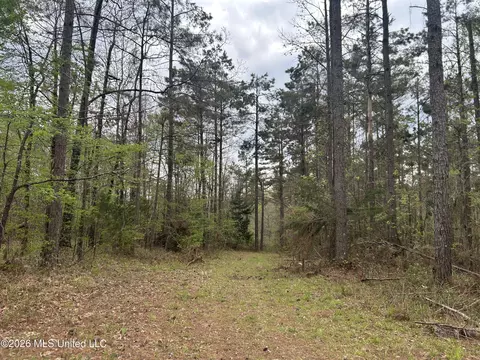 1356 Jeff Dodd Rd, West, MS 39192 photo 29