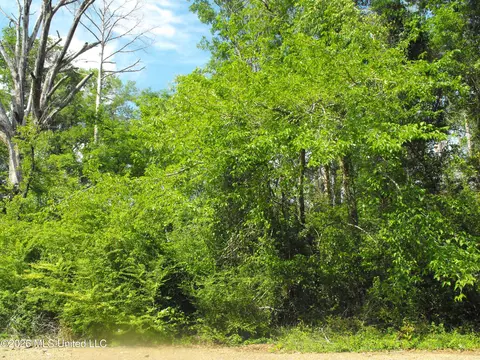 Terry Road, Jackson, MS 39212 photo 5