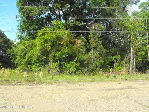 Terry Road, Jackson, MS 39212 photo 4