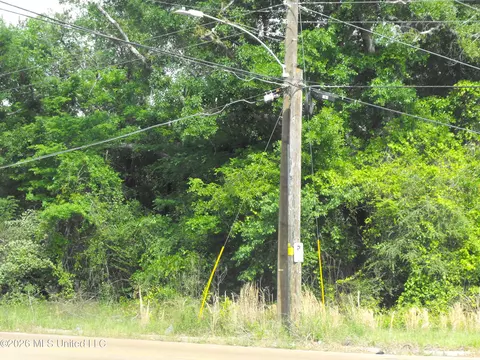 Terry Road, Jackson, MS 39212 photo 6