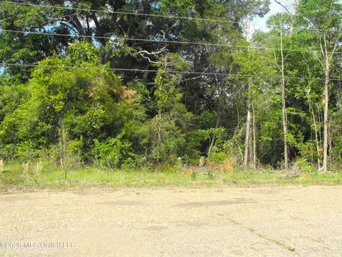 Terry Road, Jackson, MS 39212 photo 3
