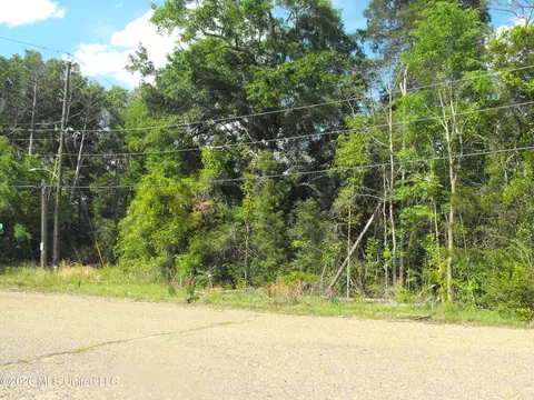Terry Road, Jackson, MS 39212 photo 7