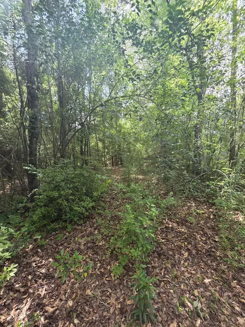 1004 Zone Rd, Magnolia, MS 39652