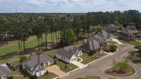 View/Area - 114 Willow Crest Cir, Brandon, MS 39047 photo 2 of 10