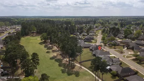 View/Area - 114 Willow Crest Cir, Brandon, MS 39047 photo 4 of 10