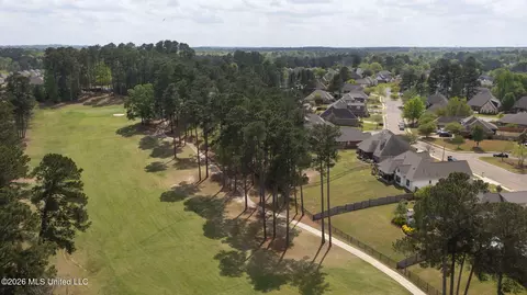 View/Area - 114 Willow Crest Cir, Brandon, MS 39047 photo 6 of 10