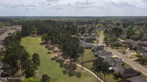 View/Area - 114 Willow Crest Cir, Brandon, MS 39047 photo 5 of 10