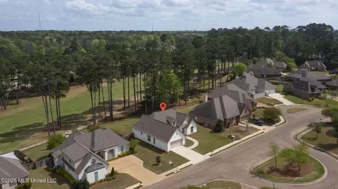 View/Area - 114 Willow Crest Cir, Brandon, MS 39047 photo 3 of 10