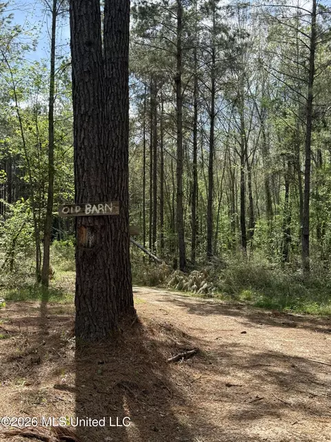 Seymour Road, Kilmichael, MS 39747 photo 73