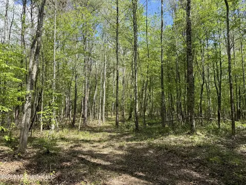 Seymour Road, Kilmichael, MS 39747 photo 96