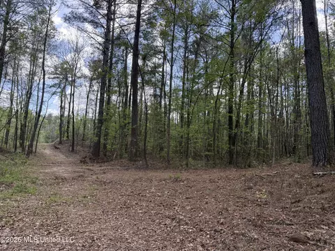 Seymour Road, Kilmichael, MS 39747 photo 16