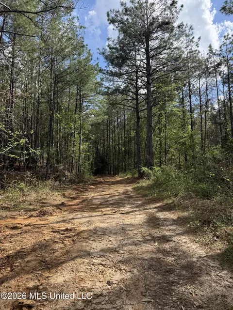 Seymour Road, Kilmichael, MS 39747 photo 74