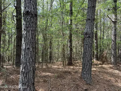 Seymour Road, Kilmichael, MS 39747 photo 78