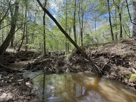 Seymour Road, Kilmichael, MS 39747 photo 97