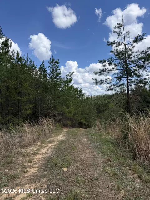 Seymour Road, Kilmichael, MS 39747 photo 81