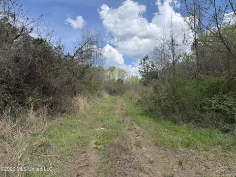 Seymour Road, Kilmichael, MS 39747 photo 84