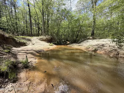 Seymour Road, Kilmichael, MS 39747 photo 15