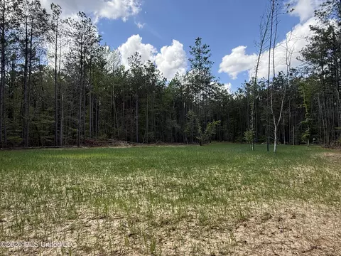 Seymour Road, Kilmichael, MS 39747 photo 93