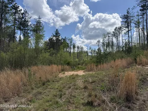 Seymour Road, Kilmichael, MS 39747 photo 82