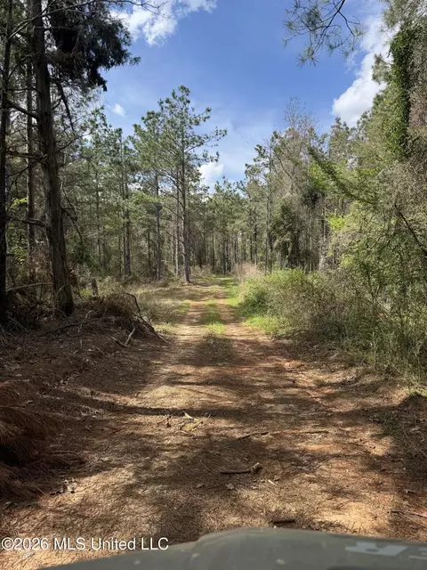 Seymour Road, Kilmichael, MS 39747 photo 72