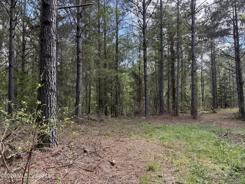 Seymour Road, Kilmichael, MS 39747 photo 76