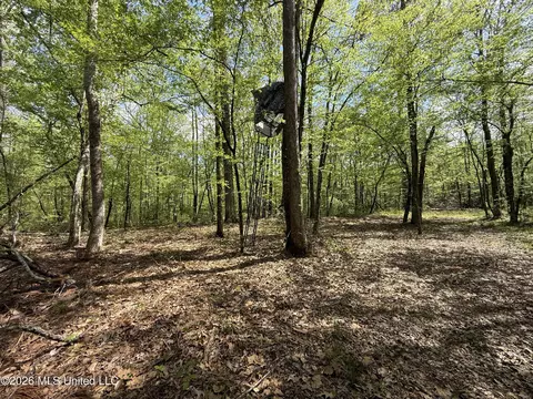Seymour Road, Kilmichael, MS 39747 photo 99