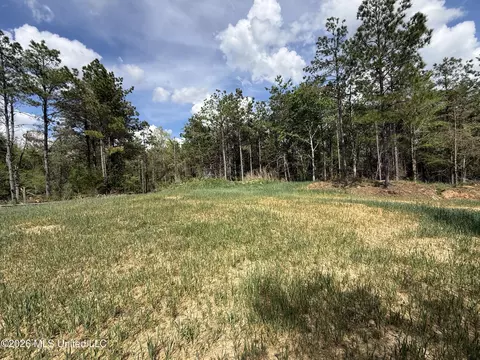 Seymour Road, Kilmichael, MS 39747 photo 71