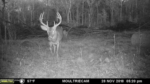 Seymour Road, Kilmichael, MS 39747 photo 39