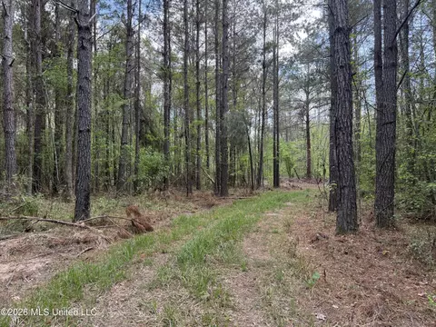 Seymour Road, Kilmichael, MS 39747 photo 68