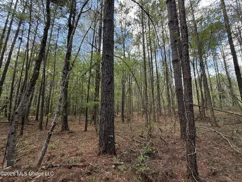 Seymour Road, Kilmichael, MS 39747 photo 89