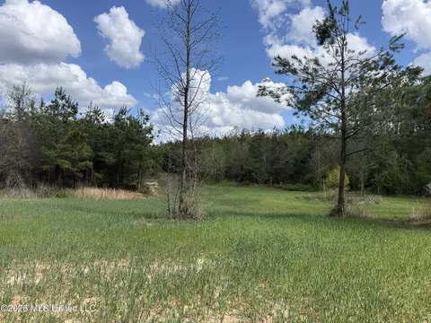 Seymour Road, Kilmichael, MS 39747 photo 17