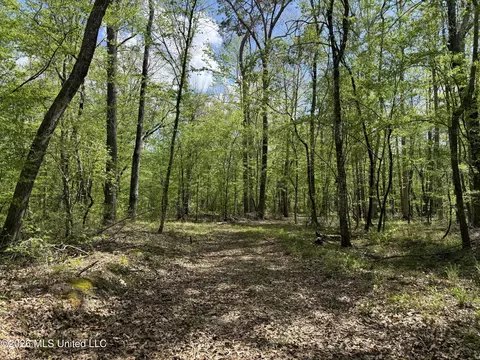 Seymour Road, Kilmichael, MS 39747 photo 79