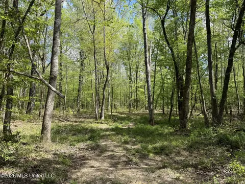 Seymour Road, Kilmichael, MS 39747 photo 98
