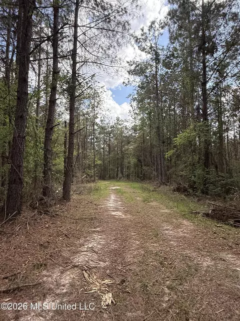 Seymour Road, Kilmichael, MS 39747 photo 69