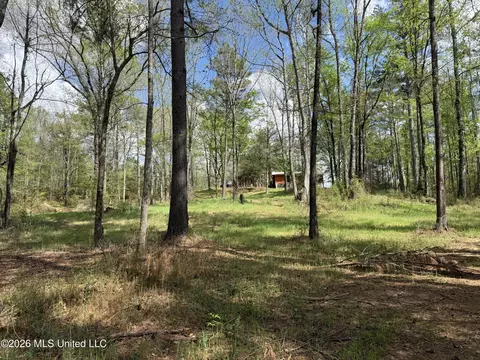 Seymour Road, Kilmichael, MS 39747 photo 21