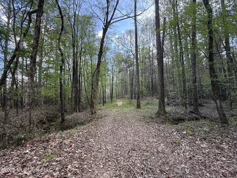 Seymour Road, Kilmichael, MS 39747 photo 80