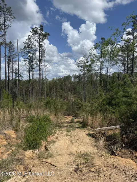 Seymour Road, Kilmichael, MS 39747 photo 65