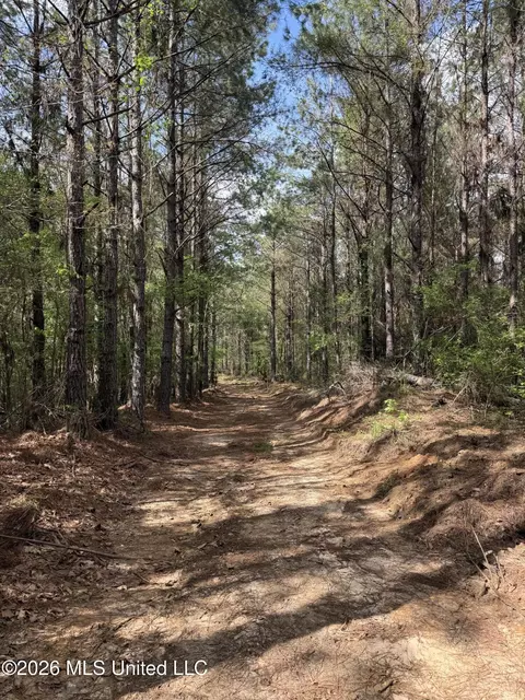 Seymour Road, Kilmichael, MS 39747 photo 77