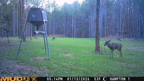 Seymour Road, Kilmichael, MS 39747 photo 35