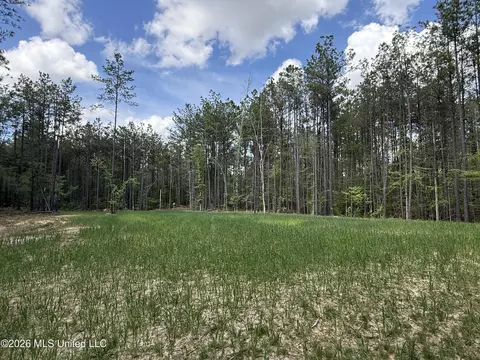 Seymour Road, Kilmichael, MS 39747 photo 92