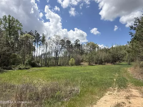 Seymour Road, Kilmichael, MS 39747 photo 61