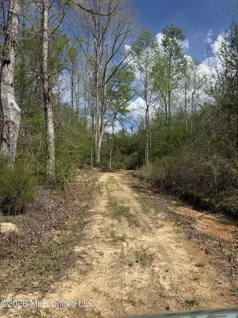 Seymour Road, Kilmichael, MS 39747 photo 85