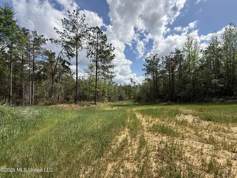 Seymour Road, Kilmichael, MS 39747 photo 70